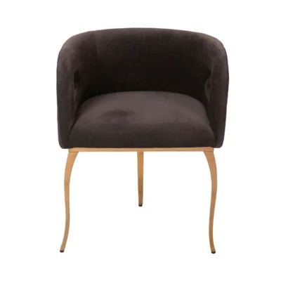 Modern S-Curve Dining Chair with Leaf-Motif Cutouts